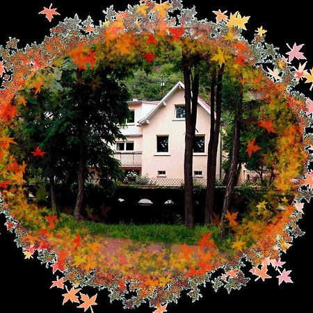 Le Croissant de Lune Ingersheim Extérieur photo